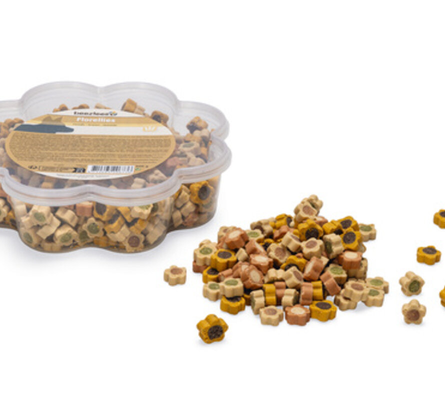 Beeztees Florellies Hondensnack 500gr