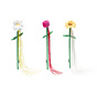 Beeztees Kattenhengel Lentebloei Assorti 45x6x3cm