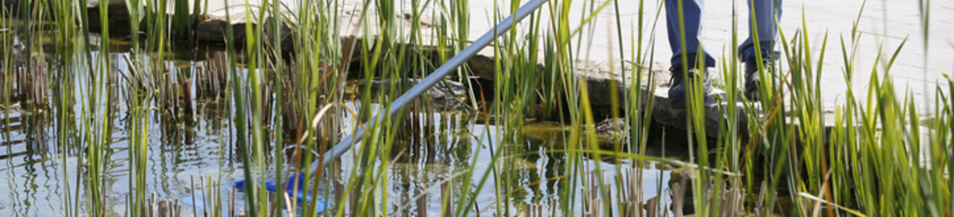 De juiste vijverstofzuiger kiezen