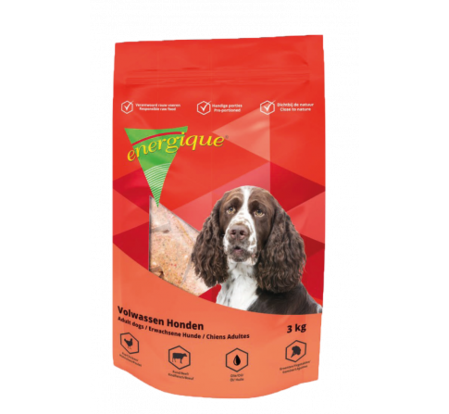 Energique Volwassen Hond
