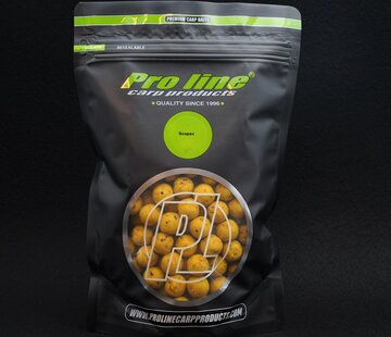 Pro Line Pro Line Readymades Scopex 15mm 1kg
