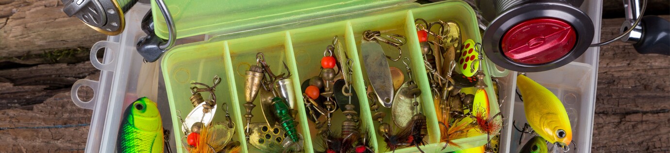 Kunstaas voor baars: top 5 beste keuzes voor een geslaagde vangst