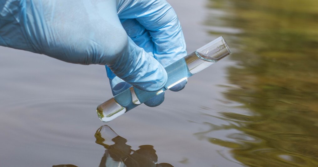 De belangrijkste waterwaardes voor je vijver