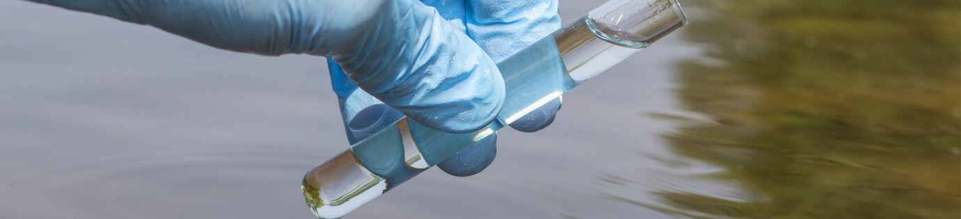 De belangrijkste waterwaardes voor je vijver