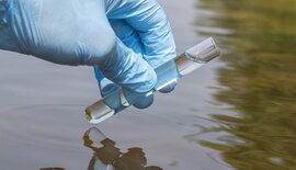 De belangrijkste waterwaardes voor je vijver