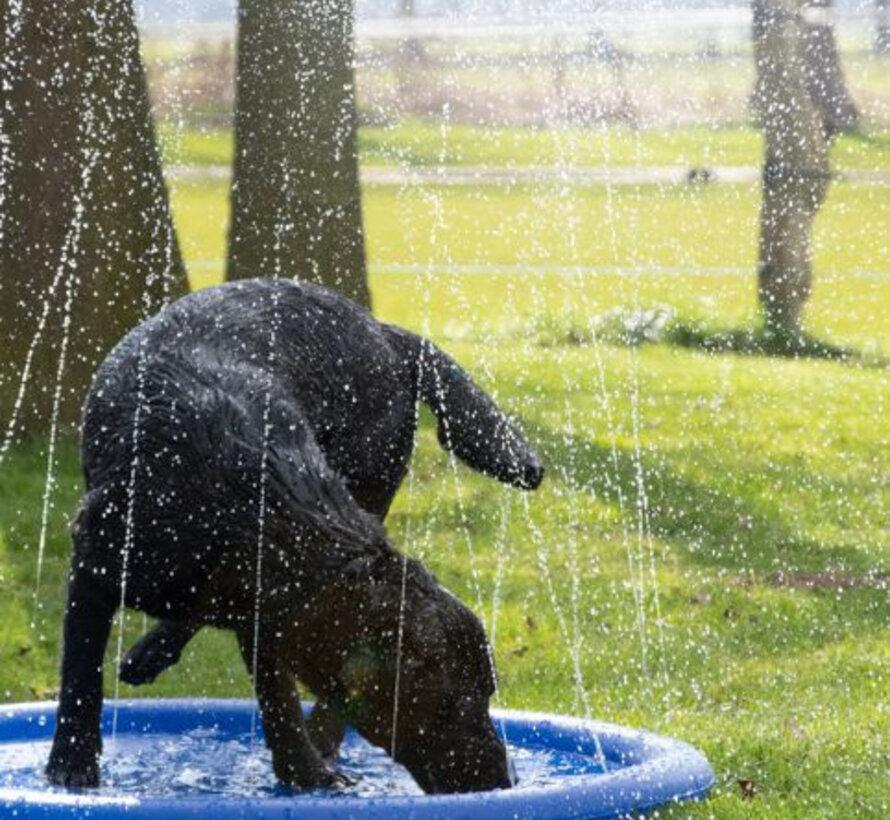Beeztees Sprinkler Mat Stay Cool - Hondenmat - Blauw