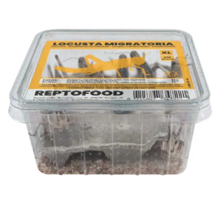 Reptofood Sprinkhanen Volwassen Bakje
