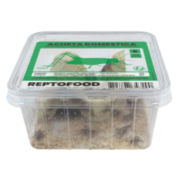 Reptofood Reptofood Huiskrekels, Doos Maat 6