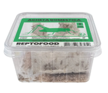 Reptofood Reptofood Huiskrekels, Doos Maat 2