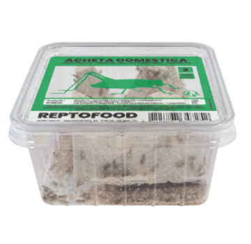 Reptofood Reptofood Huiskrekels, Doos Maat 2