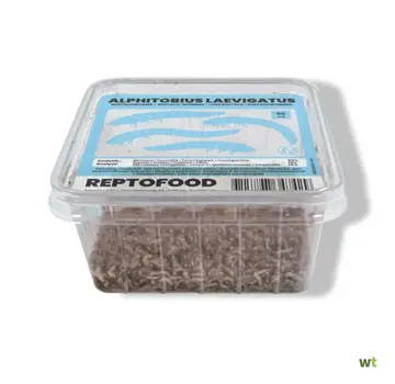 Reptofood Reptofood Buffalowormen, Doos 50ml