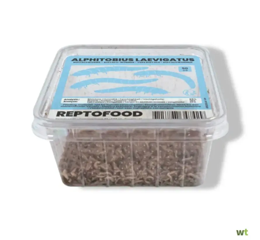 Reptofood Buffalowormen, Doos 50ml