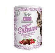 Brit Care Brit Care Cat Superfruits Salmon 100gr