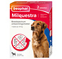 Beaphar Milquestra hond 5 - 50kg (2 tab)