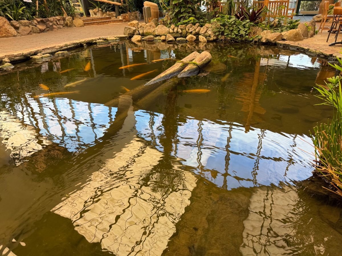 Topstore vijverspecialist Landal