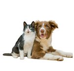 Deals voor je hond en kat