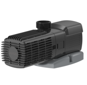 AUGA Auga Compact E-6000