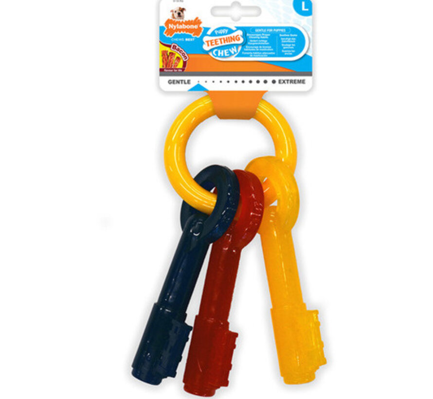 Puppy Chew Teething Key Flexible Medium