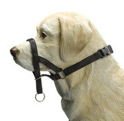Beeztees Beeztees Dog Control Halsband Hond XS