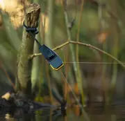 Pole Position Pole Position Bank Line Clip