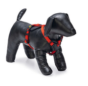 Beeztees Beeztees Parinca Premium Y-Tuig Rood 37-40x15