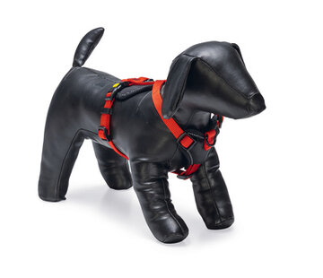 Beeztees Beeztees Parinca Premium Y-Tuig Rood 37-40x15