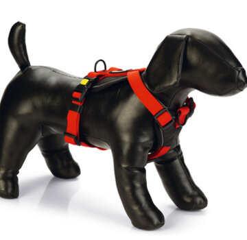 Beeztees Beeztees Parinca Premium Y-Tuig Rood 84-100x30