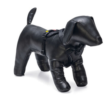 Beeztees Beeztees Parinca Premium Y-Tuig Zwart 37-40x15