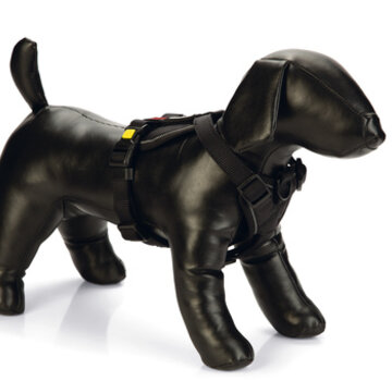 Beeztees Beeztees Parinca Premium Y-Tuig Zwart 84-100x30