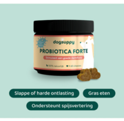 Dogsuppy Dogsuppy probiotica forte insect 60st