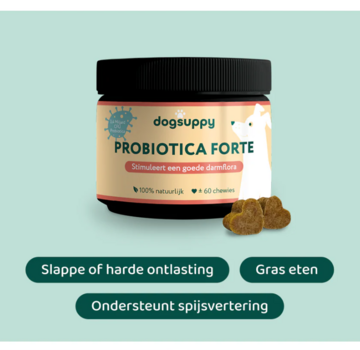 Dogsuppy Dogsuppy probiotica forte insect 60st