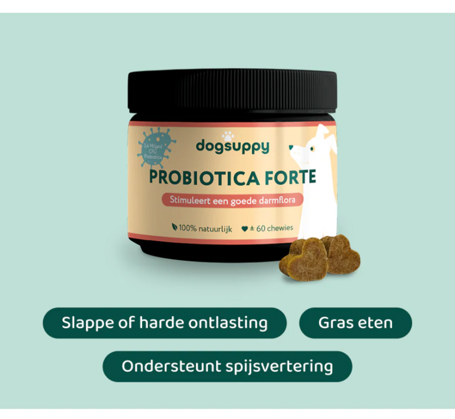 Dogsuppy probiotica forte insect 60st