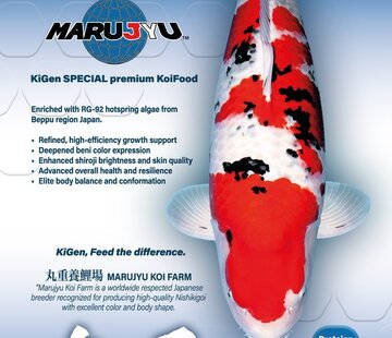 KiGen KiGen Koivoer Marujyu Special Sinking 6mm 10kg