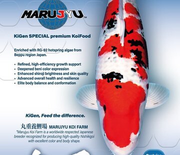 KiGen KiGen Koivoer Marujyu Special Sinking 6mm 5kg