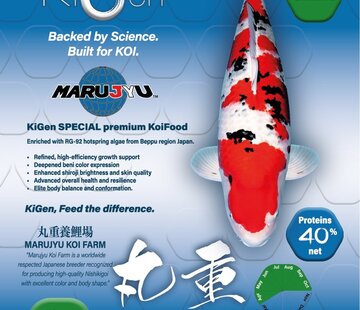 KiGen KiGen Koivoer Marujyu Special Sinking 6mm 1,2kg