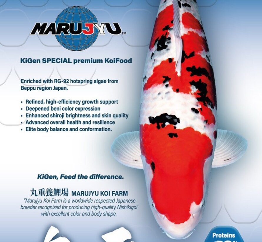 KiGen Koivoer Marujyu Special 6mm 10kg