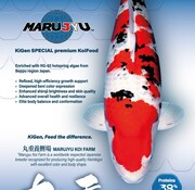 KiGen KiGen Koivoer Marujyu Special 6mm 5kg