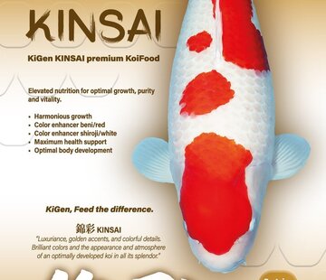 KiGen KiGen Koivoer Kinsai Sinking 6mm 10kg