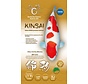 KiGen Koivoer Kinsai Sinking 6mm 10kg