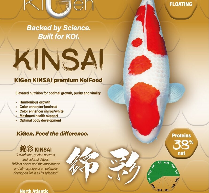 KiGen Koivoer Kinsai 6mm 1,2kg