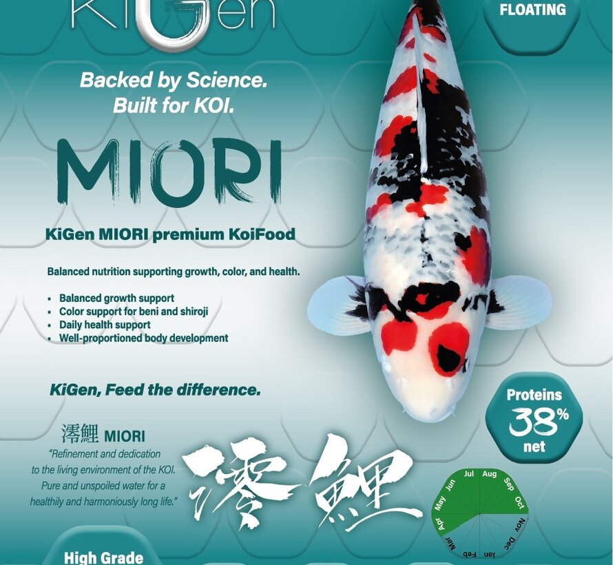 KiGen Koivoer Miori 6mm 1,2kg