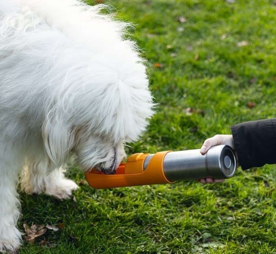 Beeztees Loe - Drinkfles Hond - RVS -  532 ml