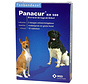 Panacur ontwormingstabl kh 500mg hond/kat 10tabl