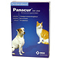 Panacur ontwormingstabl kh 250mg hond/kat 10tabl