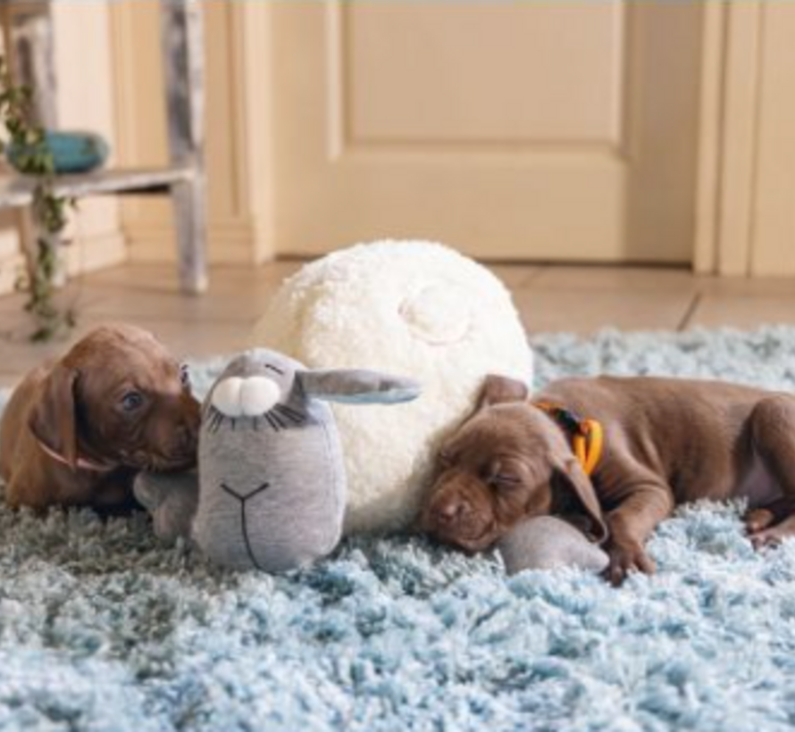 Beeztees Puppy Heartbeat - Hondenknuffel - Wit/Grijs - 35x20x14 cm