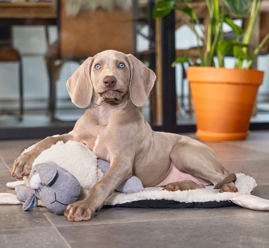 Beeztees Puppy Heartbeat - Hondenknuffel - Wit/Grijs - 35x20x14 cm