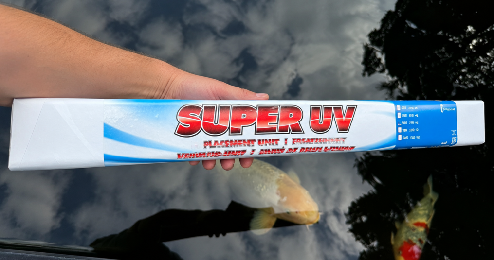 Welke UV-lamp voor vijver kiezen voor helder water en gezonde vissen