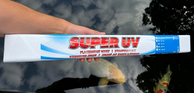 Welke UV-lamp voor vijver kiezen voor helder water en gezonde vissen