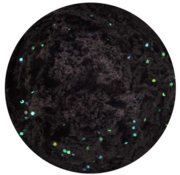 SPRO Spro Pro Paste Cheese Black Glitter