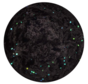 Spro Pro Paste Cheese Black Glitter